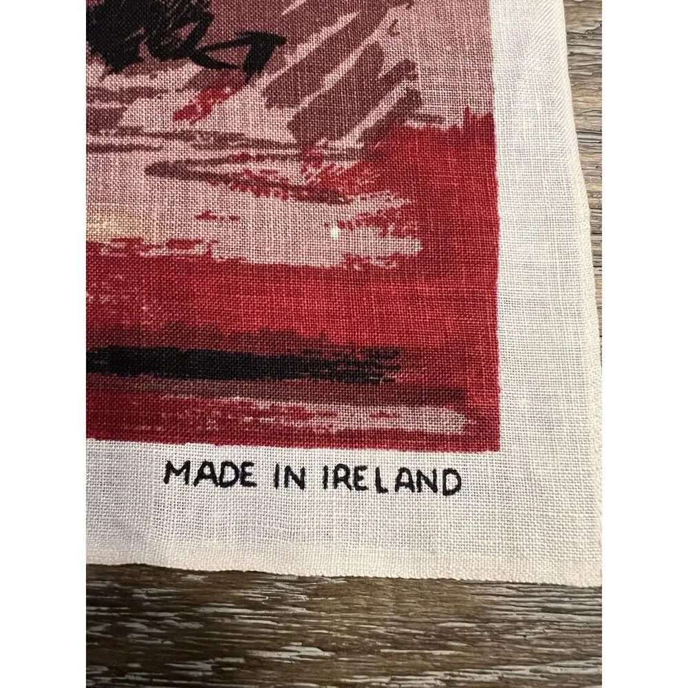 NWOT Vintage Tea Towel Kitchen Souvenir Irish Cabin Victorian Boy A32-9 #
